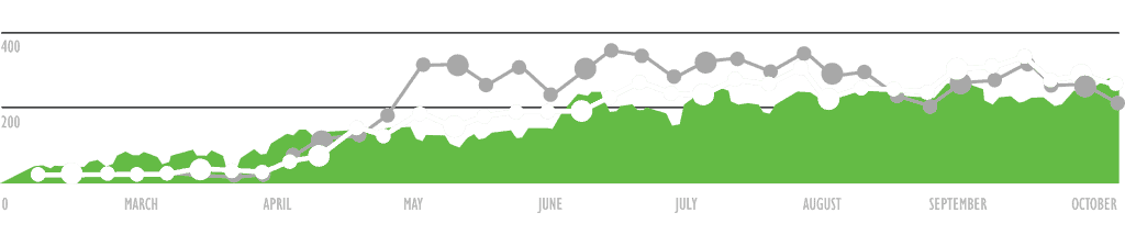 graph from Arcane Marketing to display increase of business over time using digital marketing services