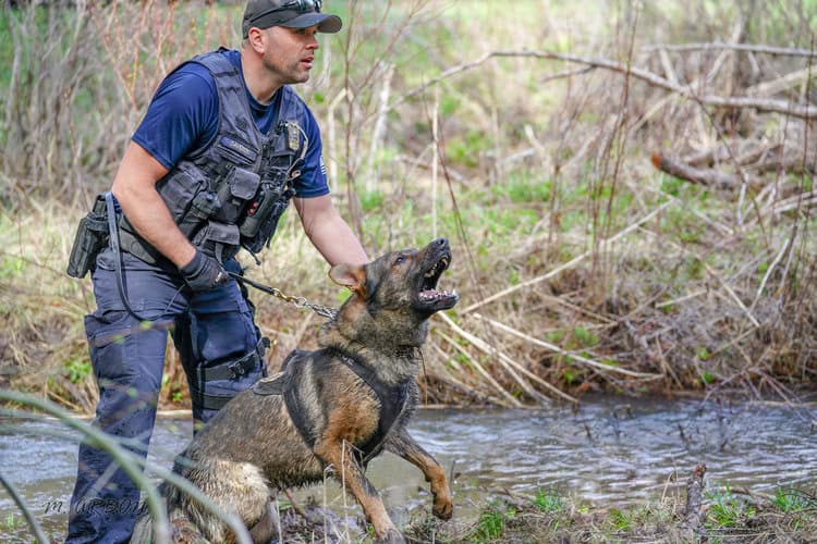 Tactical Dog Bark